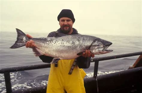 7 (Mackinaw) Lake Trout Fishing Mistakes Identified!.